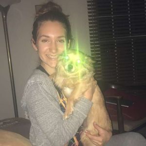 Meet your Posher, Morgan